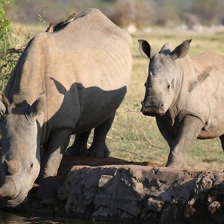 Jamala Madikwe Royal Safari Lodge Mochudi Bagian luar foto